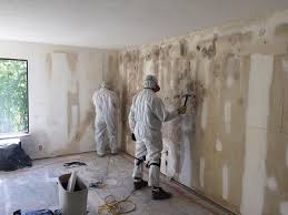 Professional Mold Removal in Juneau, WI